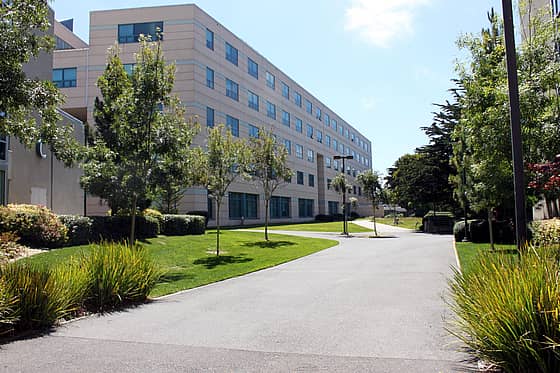 San Francisco State University Campus