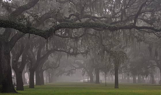 Savannah State University Campus