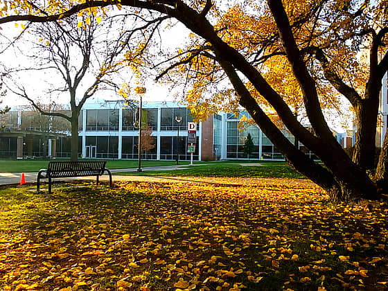 Triton College Campus