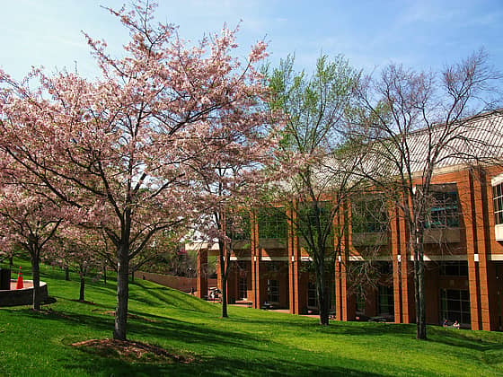 University of North Carolina at Charlotte Campus