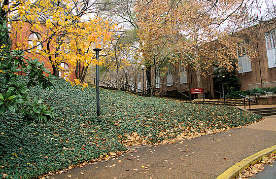 Vanderbilt University Campus