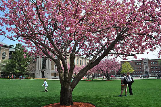 Wentworth Institute of Technology Campus