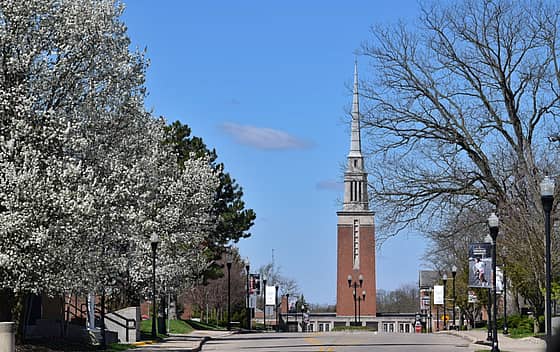Anderson University
