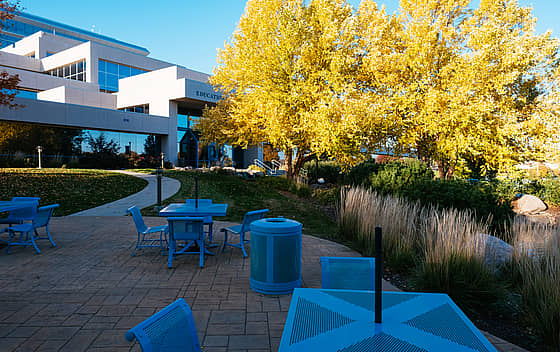 Bellevue University