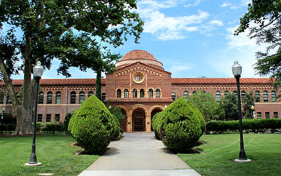 California State University Chico