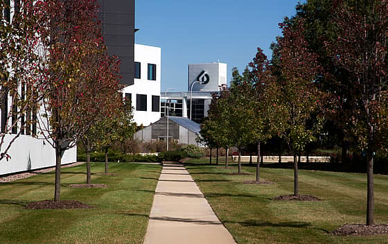 College of DuPage