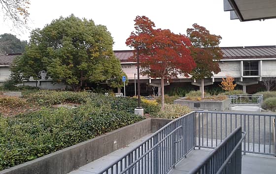 College of Marin
