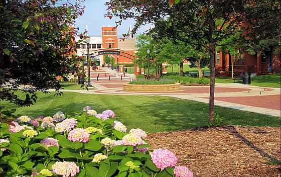 Creighton University