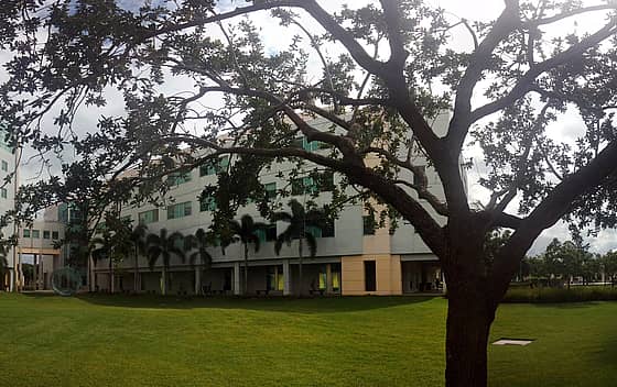 Florida International University