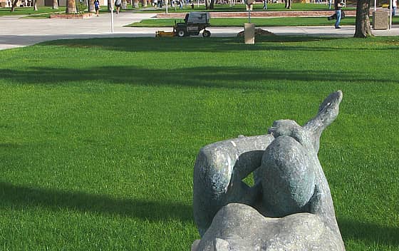 Glendale Community College