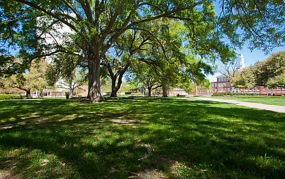 Louisiana Tech University
