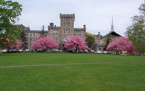 Manhattanville University