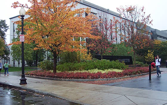 Northeastern University