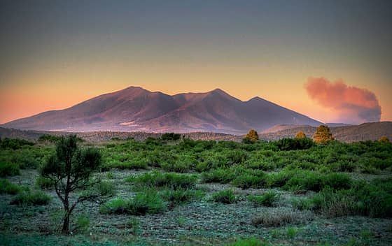 Northern Arizona University