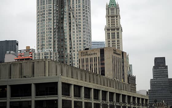 Pace University
