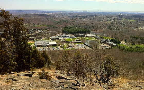 Quinnipiac University