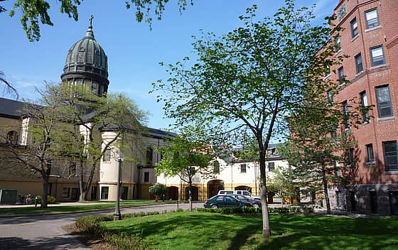 Saint Johns University
