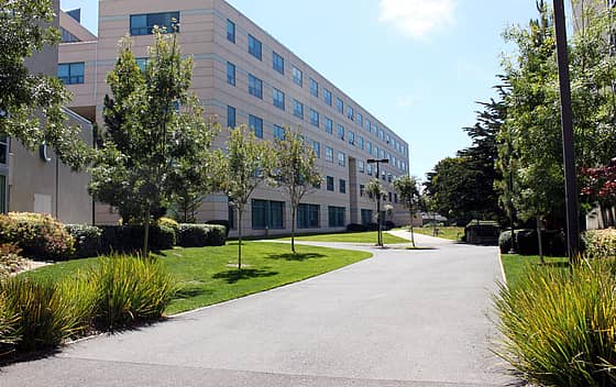 San Francisco State University