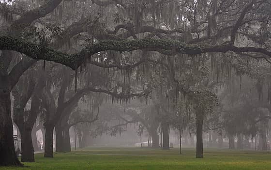 Savannah State University
