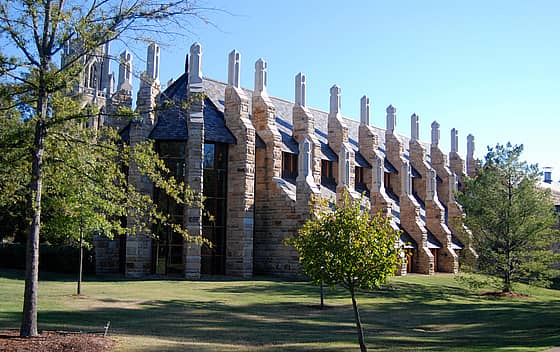 The University of the South