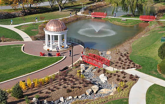 Shenandoah University