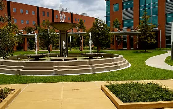 Texas Southern University
