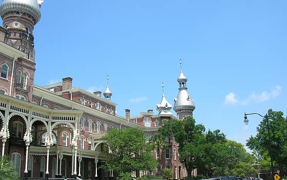 The University of Tampa