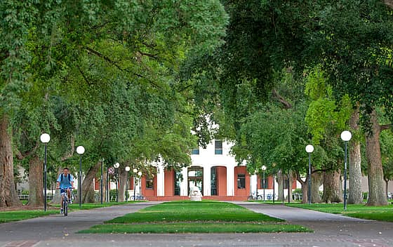 University of California Davis