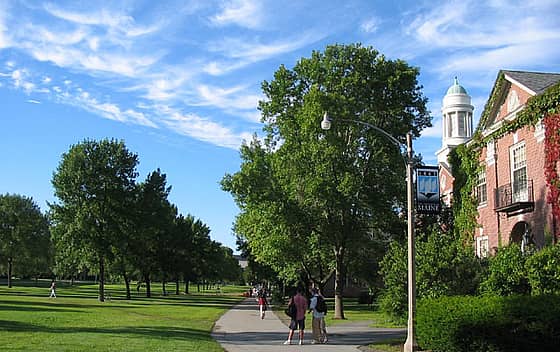 University of Maine