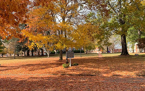 University of Montevallo