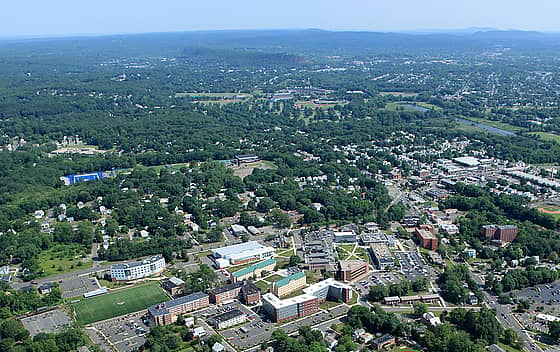 University of New Haven