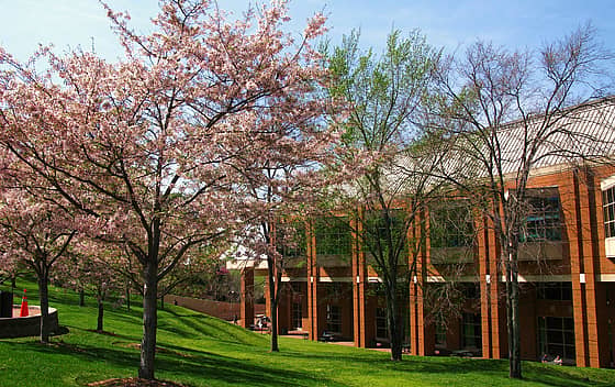 University of North Carolina at Charlotte