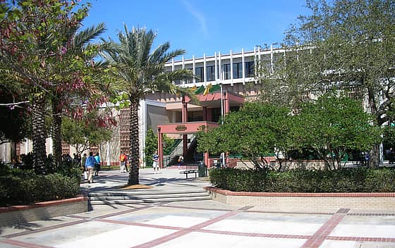University of South Florida