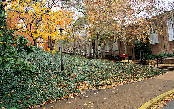 Vanderbilt University