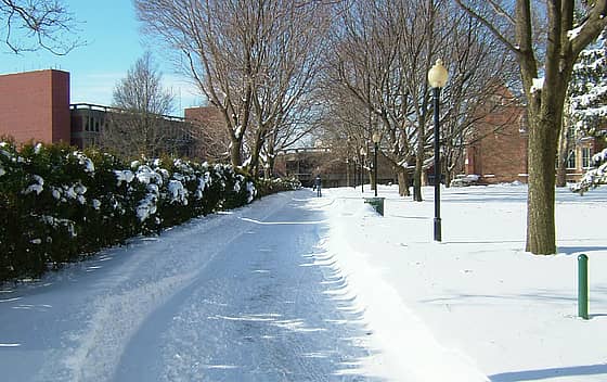 Wagner College