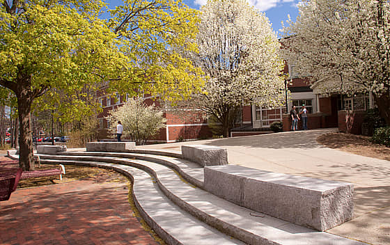 Western New England University