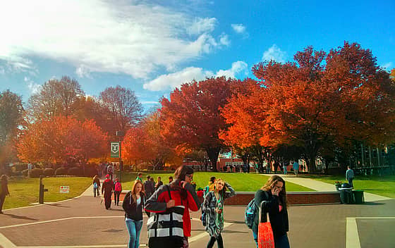 York College of Pennsylvania